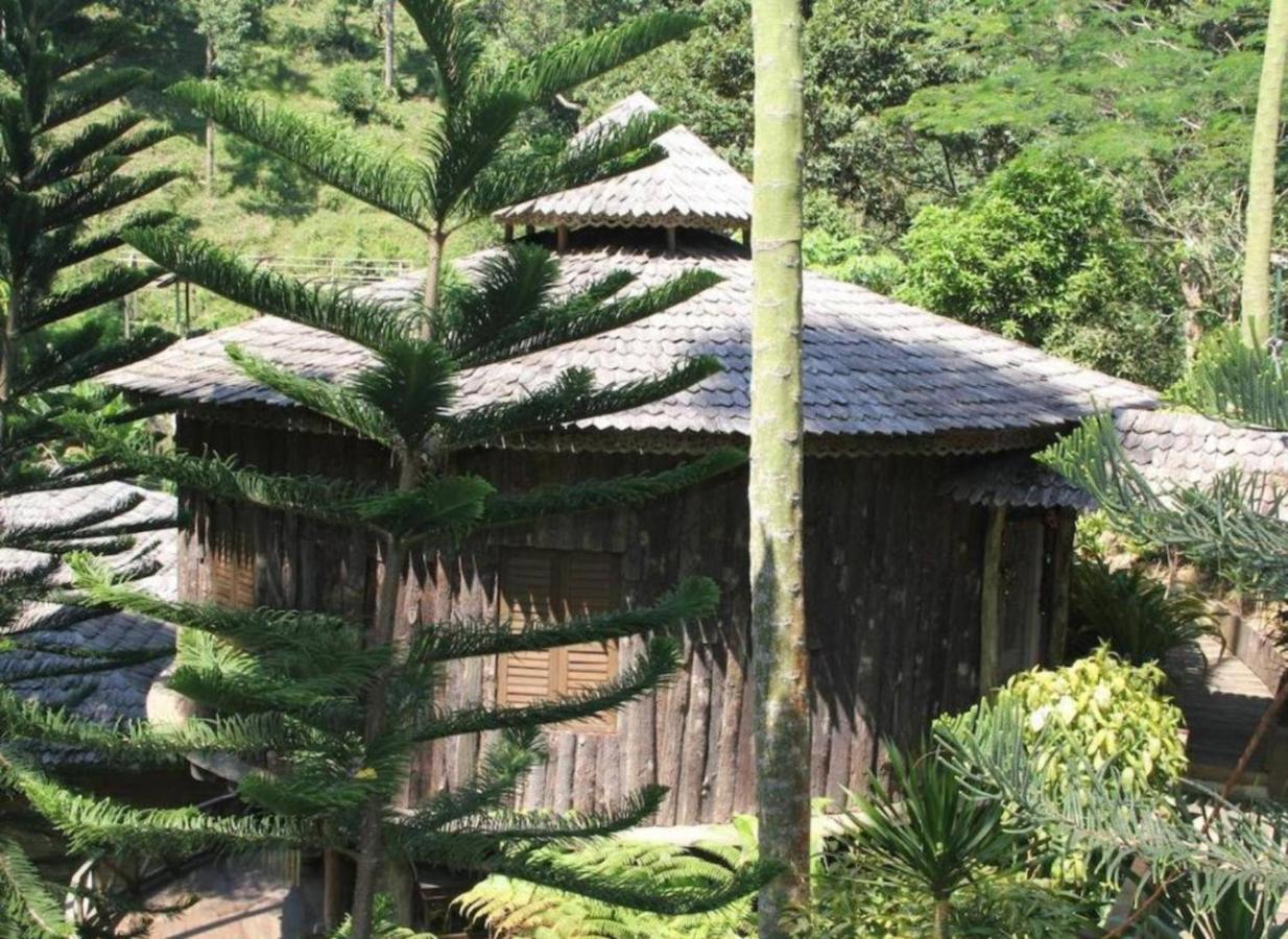 Fig Tree Hills Resort Bayan Lepas Eksteriør billede