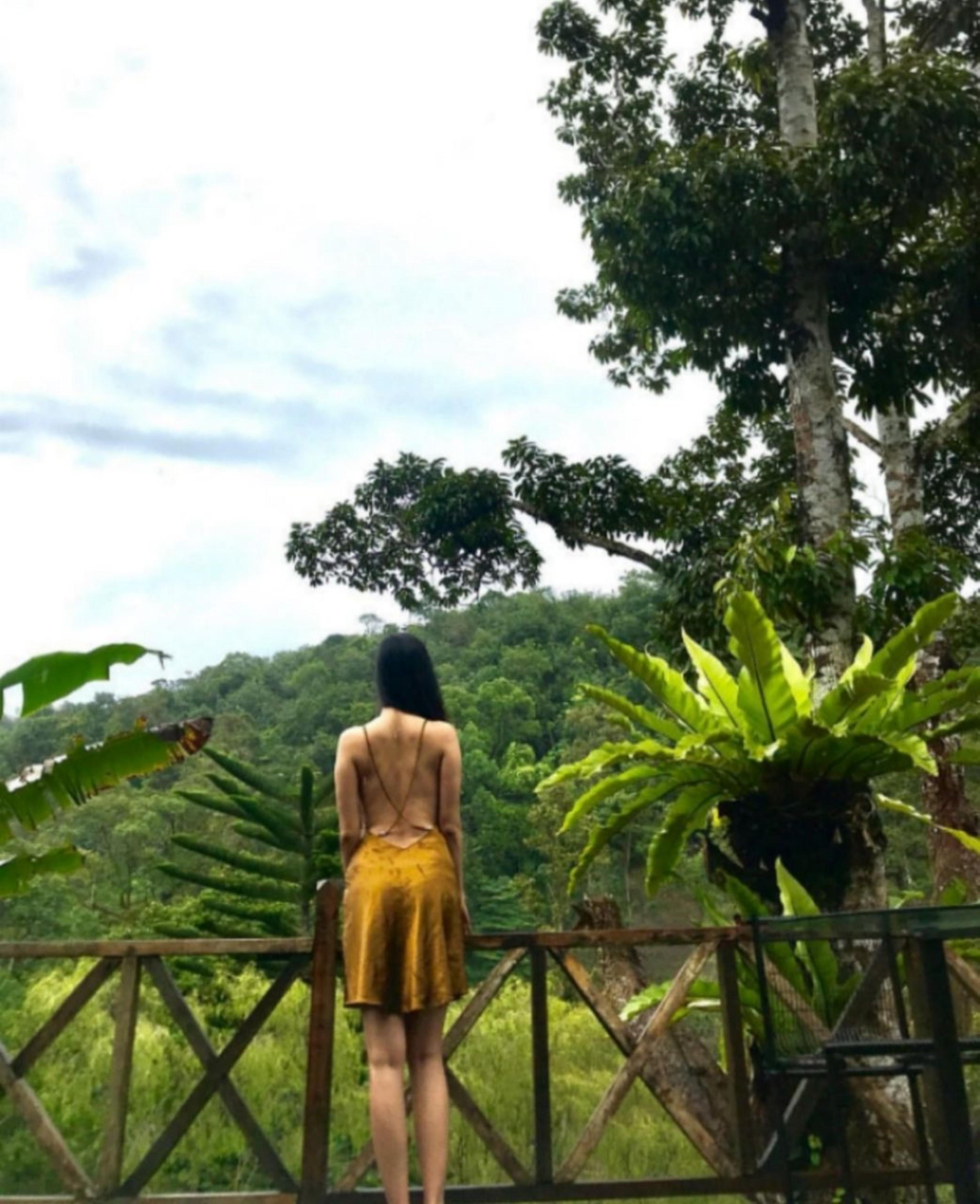 Fig Tree Hills Resort Bayan Lepas Eksteriør billede