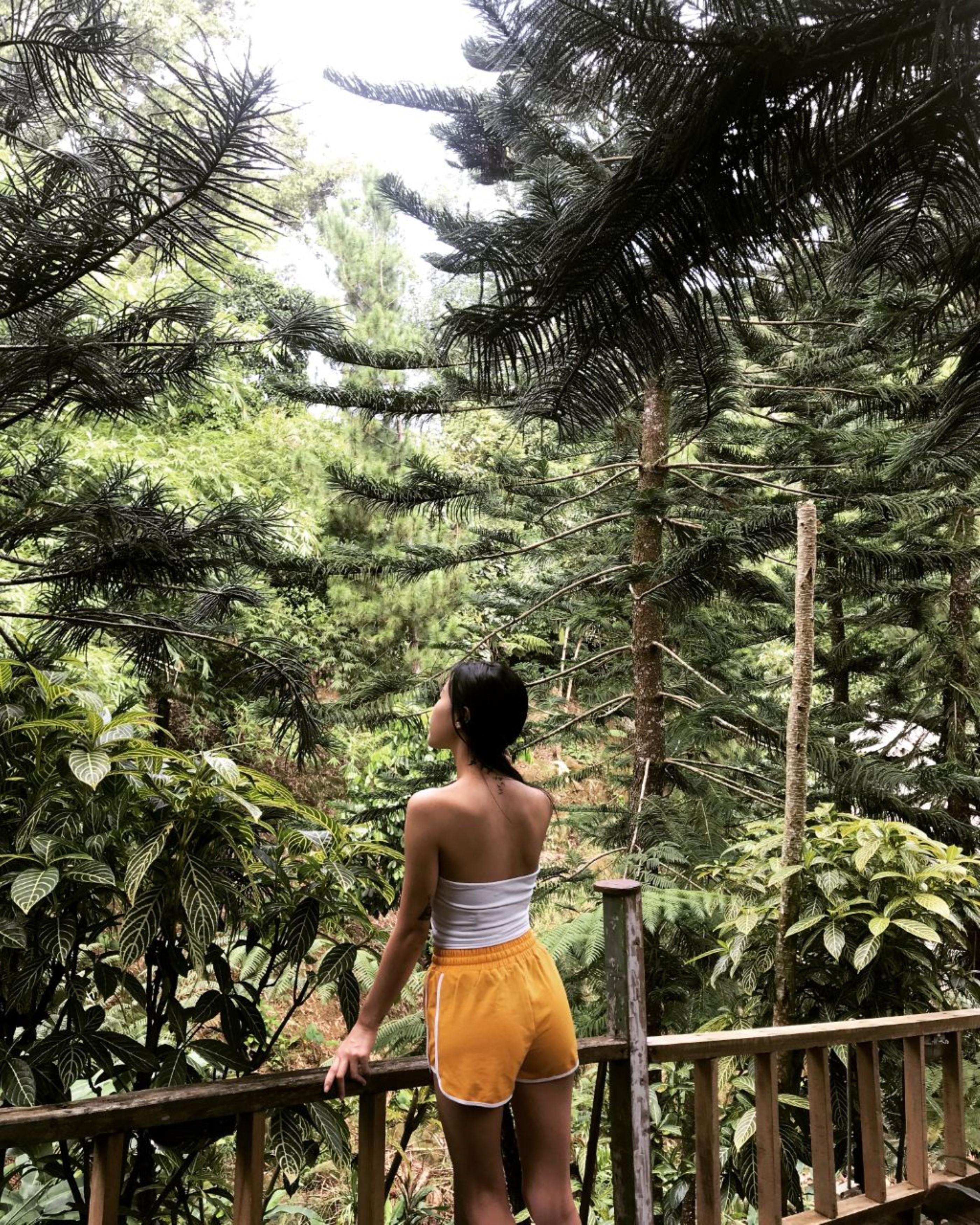 Fig Tree Hills Resort Bayan Lepas Eksteriør billede