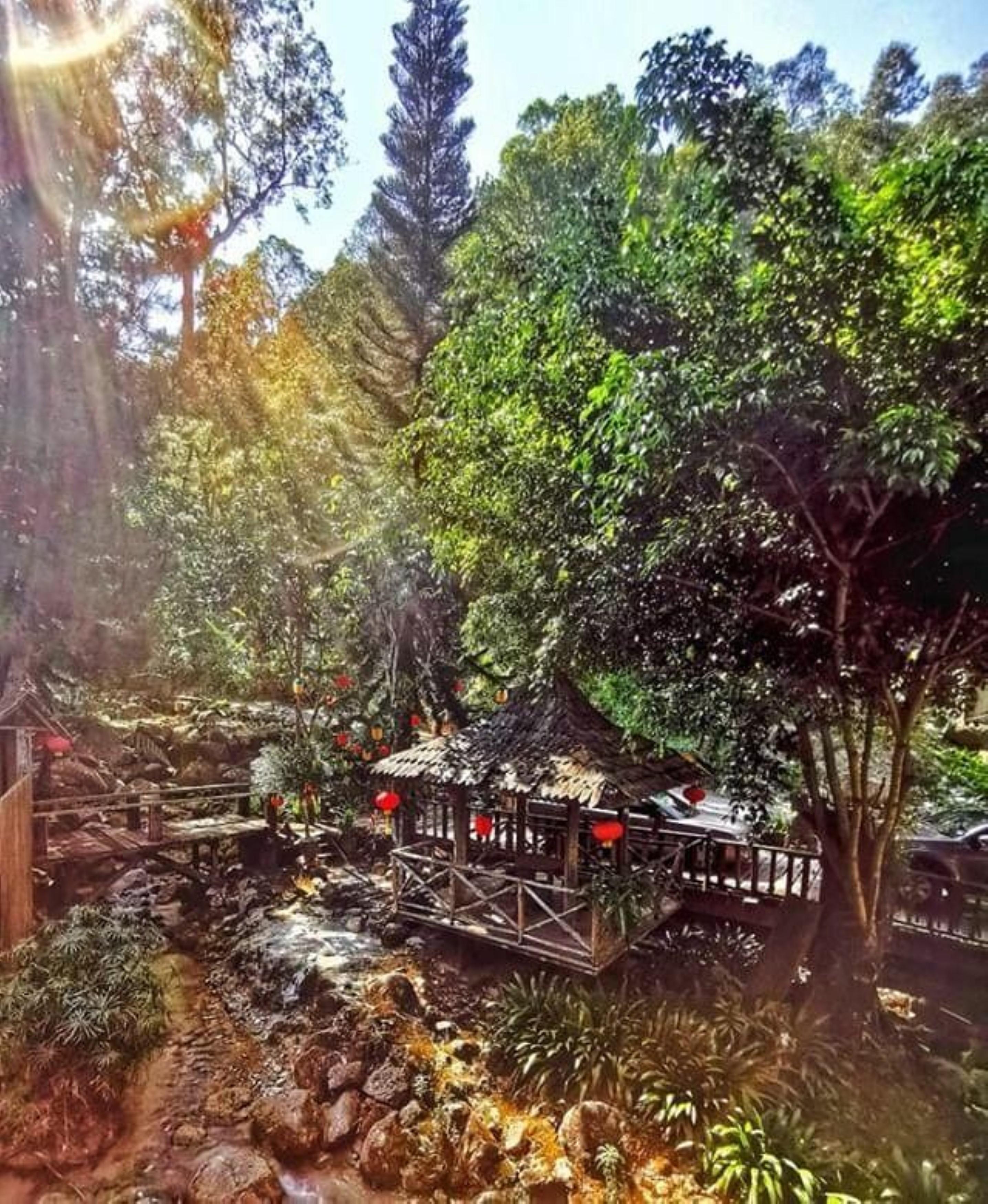 Fig Tree Hills Resort Bayan Lepas Eksteriør billede