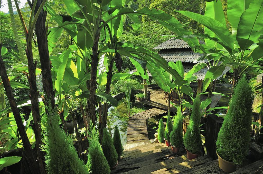 Fig Tree Hills Resort Bayan Lepas Eksteriør billede