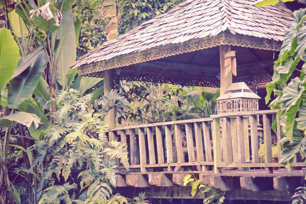 Fig Tree Hills Resort Bayan Lepas Eksteriør billede