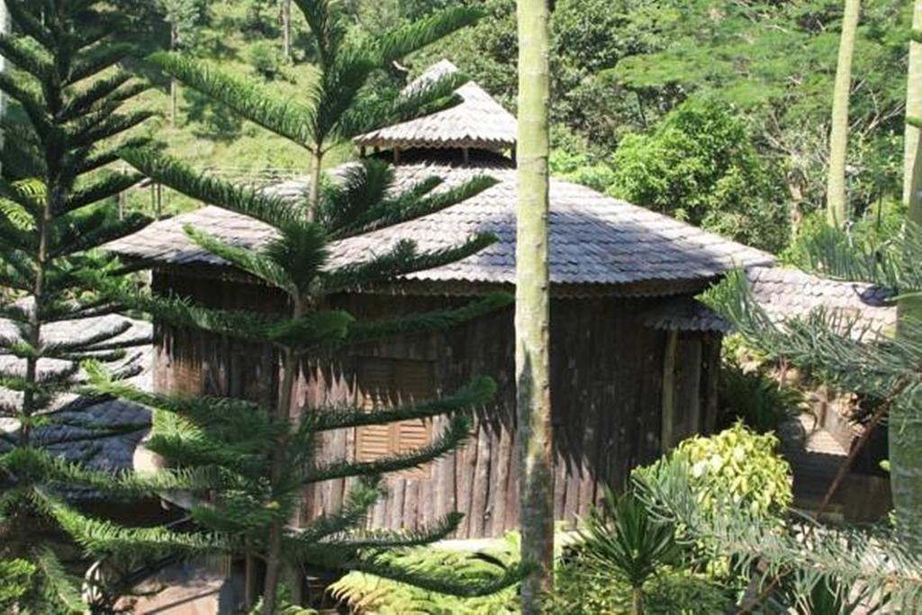 Fig Tree Hills Resort Bayan Lepas Eksteriør billede